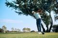 ECCO GOLF着用のアーロン・ライ、PGA Championshutf-8