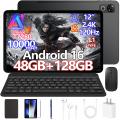 「Amazon35%OFFタイムセール」6部品付属 AORLYM P12 1