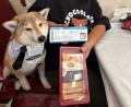ペットのインバウンドを食で支援。香港発・日本行プラ ペットのインバウンドを食で支援。香港発・日本行プラ