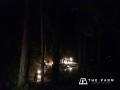 千葉・香取の里山に、今年も自生のホタルの光。農園リ 千葉・香取の里山に、今年も自生のホタルの光。農園リ