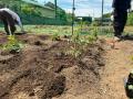 空き家を地域資源に、植木職人の育成拠点へ