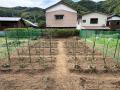 空き家を地域資源に、植木職人の育成拠点へ