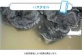 普段の洗濯で落としきれない“蓄積汚れ”を徹底洗浄！「
