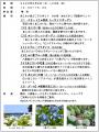 【横浜・八景島シーパラダイス】県内最大級、２万株の