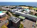 【和歌山高専】「偽貝殻」を持つタコ・カイダコ類の20 【和歌山高専】「偽貝殻」を持つタコ・カイダコ類の20