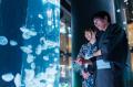 水族館でひんやり、はんなりと。夏の風情を愉しむ「浴 水族館でひんやり、はんなりと。夏の風情を愉しむ「浴