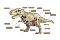 骨はもちろん臓器パーツも！？ド迫力の「ティラノサウ