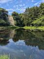 【日本一のうなぎが当たる!!】鹿児島県 大隅「うな 【日本一のうなぎが当たる!!】鹿児島県 大隅「うな