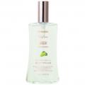【ロフト】LOFT GREEN PROJECT SUSTAINABLE BEAUTY&L 【ロフト】LOFT GREEN PROJECT SUSTAINABLE BEAUTY&L