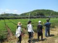 京都の農林水産業を体験してみよう！