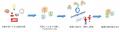 英国 Configuring社と自動エンジニアリングツールを開 英国 Configuring社と自動エンジニアリングツールを開