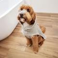 PALOPA、松屋銀座「GINZA DOG ウェルネス サマー」に PALOPA、松屋銀座「GINZA DOG ウェルネス サマー」に