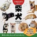 【期間限定】電子書籍版が無料で読める！柴犬だらけ写