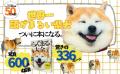 「国宝級のかわいさ」と話題の柴犬らんまるが待望の書 「国宝級のかわいさ」と話題の柴犬らんまるが待望の書