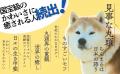 「国宝級のかわいさ」と話題の柴犬らんまるが待望の書 「国宝級のかわいさ」と話題の柴犬らんまるが待望の書