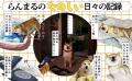 「国宝級のかわいさ」と話題の柴犬らんまるが待望の書 「国宝級のかわいさ」と話題の柴犬らんまるが待望の書