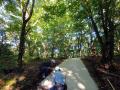 公園・遊歩道・観光施設で採用が進むウッドチップ舗装