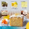 おから2倍なのに、レモンはもっと爽やかに。夏季限定 おから2倍なのに、レモンはもっと爽やかに。夏季限定