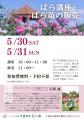 【広島／世羅】園内のばらを摘んでアレンジメントを作