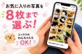 【新刊発売】全国の“うちのこ”が大集合!ふわふわポメ 【新刊発売】全国の“うちのこ”が大集合!ふわふわポメ