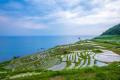 6月3日、輪島市・能登森林組合・more treesが 「能登 6月3日、輪島市・能登森林組合・more treesが 「能登