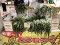信州の「自然」「歴史・文化」「食」などの魅力を発信 信州の「自然」「歴史・文化」「食」などの魅力を発信