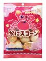 豪華ゲストが集結するふじのくにキャンピングカー＆ア