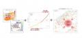 62Complex、Tokyo Innovation Baseでの人流計測・分析 62Complex、Tokyo Innovation Baseでの人流計測・分析