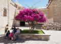 【Letra】メキシコの伝統工芸技術を継承。お気に入り