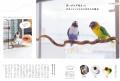 鳥との暮らしの情報源、『鳥ぐらし』バックナンバーを