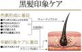 memi's angelly hair の新商品「スカルプセラムkokui