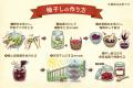 今年の初夏は“マイ梅干し”作りに挑戦！白加賀梅の『梅