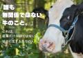 【命をインフラへ】既存市場でコストと見なされた牛を 【命をインフラへ】既存市場でコストと見なされた牛を