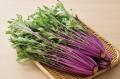 しゃぶしゃぶ温野菜から、“新化系”麻辣湯が登場utf-8 しゃぶしゃぶ温野菜から、“新化系”麻辣湯が登場utf-8