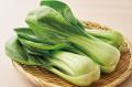 しゃぶしゃぶ温野菜から、“新化系”麻辣湯が登場utf-8 しゃぶしゃぶ温野菜から、“新化系”麻辣湯が登場utf-8