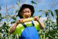 【毎年完売♪】ひと口目で感動する、夏だけの味わい。“