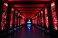 アートアクアリウム展 さいたまスーパーアリーナ2026 