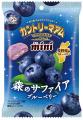 【不二家】旬のブランド果物を使用した季節限定商品が 【不二家】旬のブランド果物を使用した季節限定商品が
