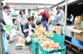 \柏市場一般開放デー/-45℃冷凍庫ツアー初開催 初ガ \柏市場一般開放デー/-45℃冷凍庫ツアー初開催 初ガ