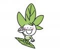 ＜牧之原市茶業振興協議会×Re茶畑プロジェクト＞放棄