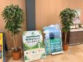 遊技を通じて植林活動を応援する「植林ぱちんこ」、ラ 遊技を通じて植林活動を応援する「植林ぱちんこ」、ラ