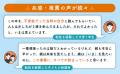 転職と同じように、学校を変える選択肢を。『13歳から