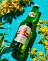 世界のビールとスパイス香るTACOSで楽しむ夏。陽気な