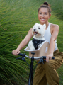 愛犬を“運ぶ”から、“一緒に移動する”へ。Canine Copil