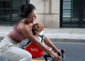 愛犬を“運ぶ”から、“一緒に移動する”へ。Canine Copil