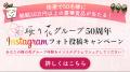 梅の花グループ創業50周年!「さくら水産」など居酒屋 梅の花グループ創業50周年!「さくら水産」など居酒屋