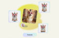 Samsung最新UI「One UI 8.5」Samsung Galaxy現行モデ Samsung最新UI「One UI 8.5」Samsung Galaxy現行モデ