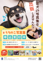 LINEで写真を送るだけでペットの写真集が出版できる！