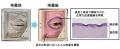 “まばたきする人工皮膚モデル”を開発~ 1日2万回の動 “まばたきする人工皮膚モデル”を開発~ 1日2万回の動