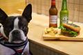 Craft Burger & Grill JIRO、地元・台東区ゆかりの「 Craft Burger & Grill JIRO、地元・台東区ゆかりの「